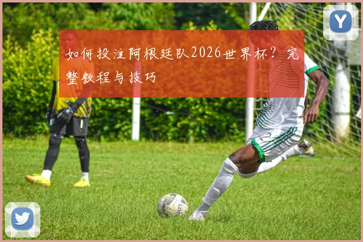 如何投注阿根廷队2026世界杯？完整教程与技巧