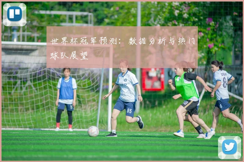 世界杯冠军预测：数据分析与热门球队展望